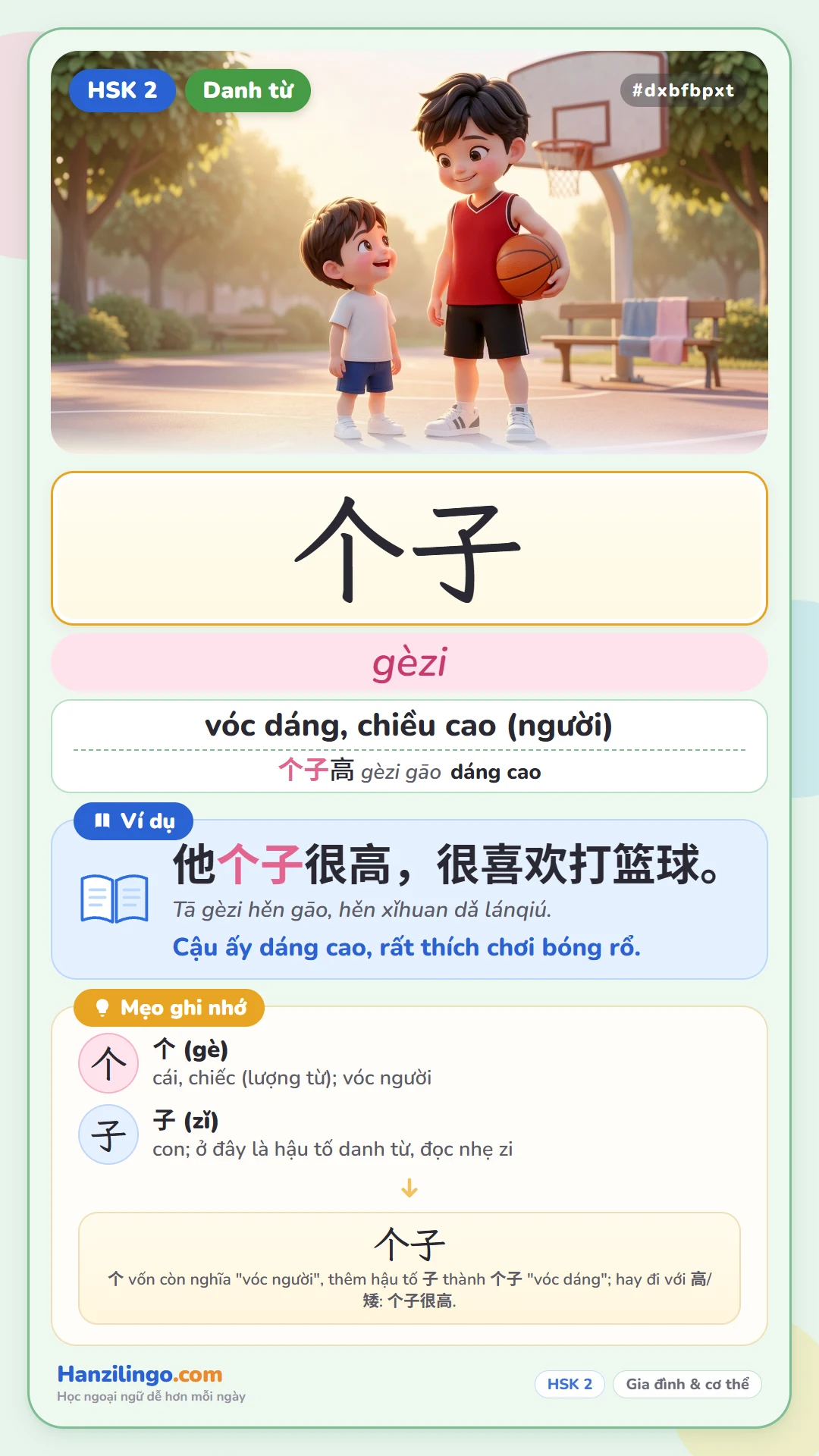 个子 gèzi — vóc người, chiều cao